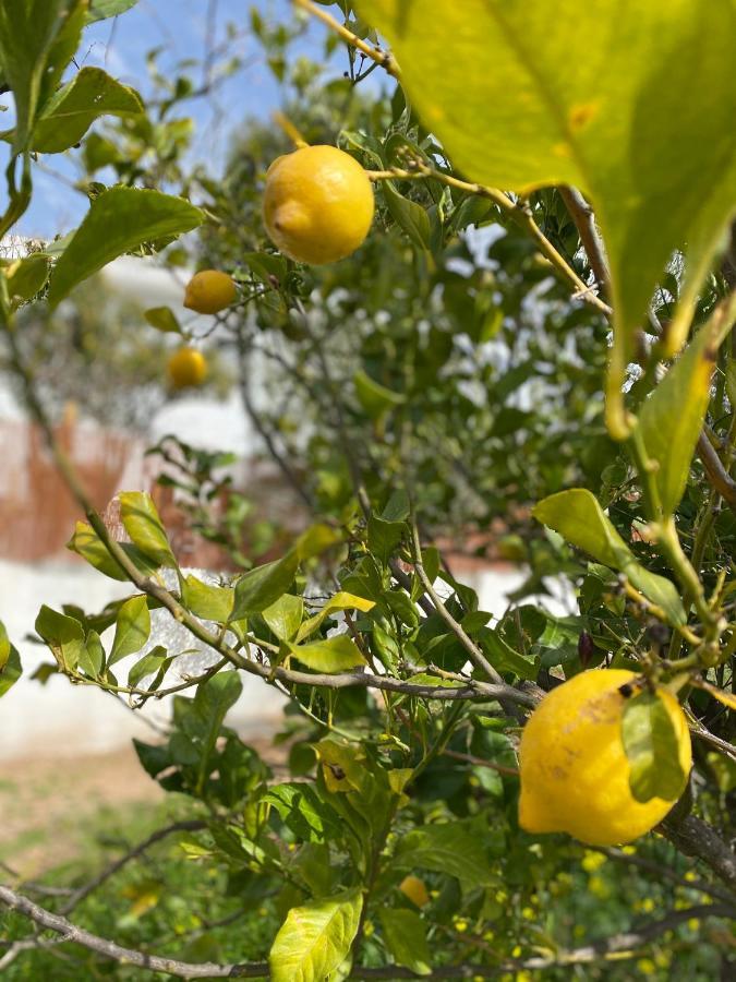 Finca Las Fuentezuelas Carataunas Ngoại thất bức ảnh