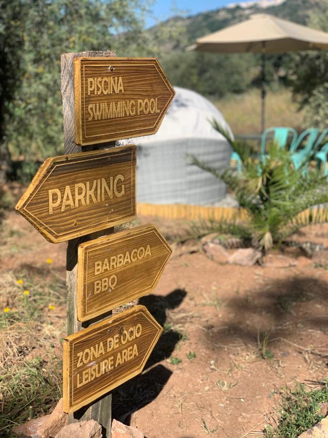 Finca Las Fuentezuelas Carataunas Ngoại thất bức ảnh